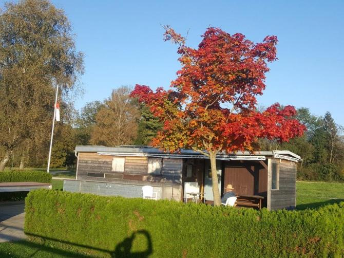 Read more about the article Tom’s Herbstbilder